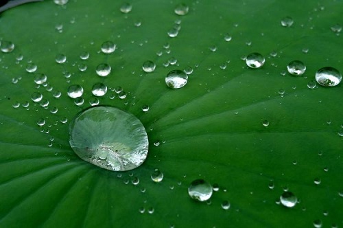 超疏水涂層